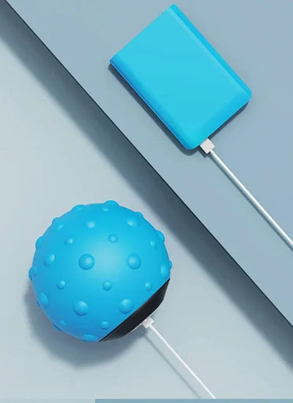 Electric Vibration Massage Ball – Fitness, Yoga & Muscle Relief